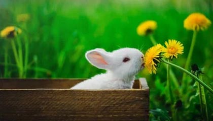 世界杯官网入口-【早报】塞维利亚欧联再称王！